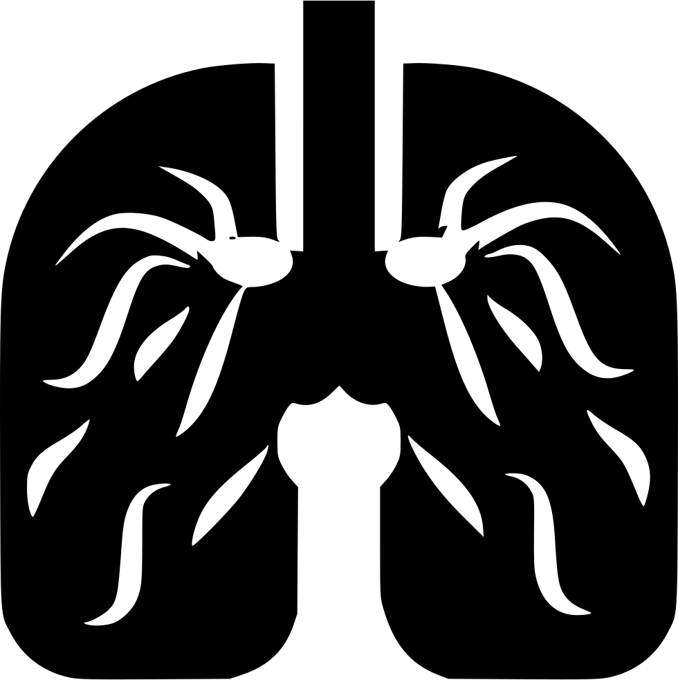 Png File Svg (980x982), Png Download