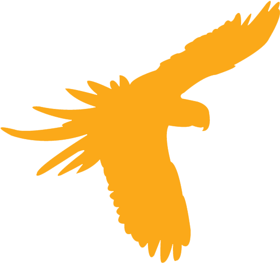 1 In 3 Species Are Under Threat (580x572), Png Download