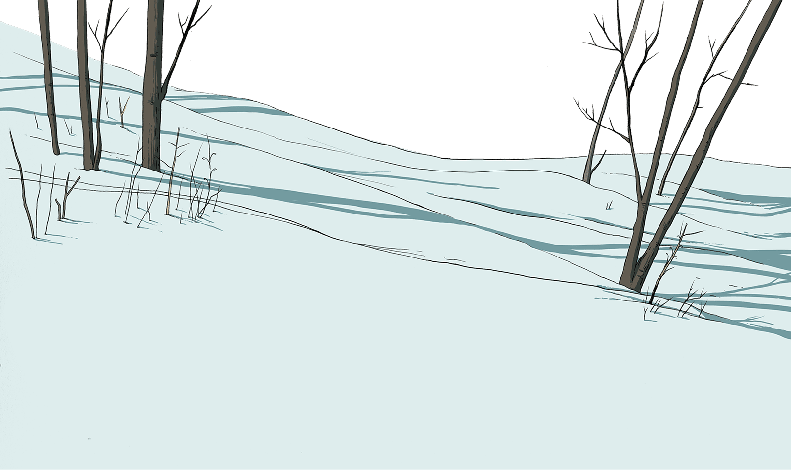 Snow Foreground With Trees (1600x953), Png Download