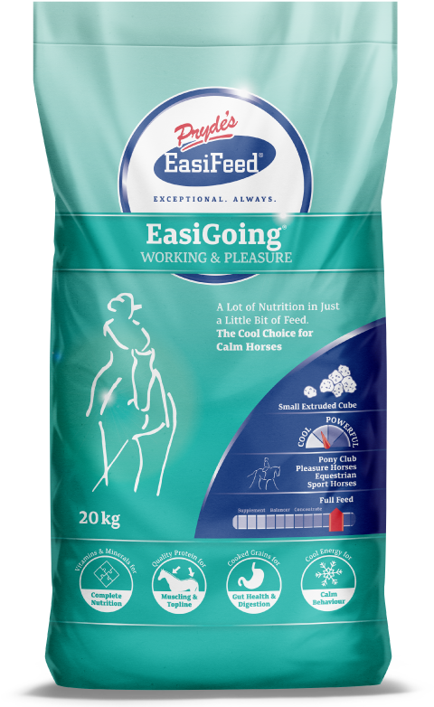 600x800px Easigoing Bag Front (600x800), Png Download