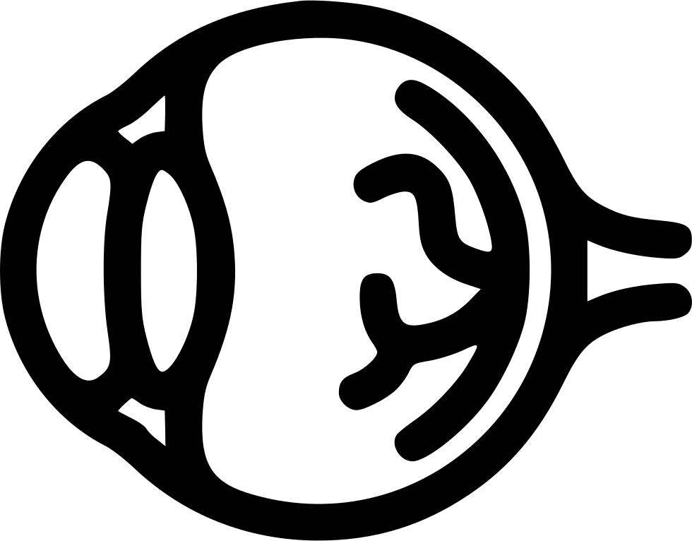 Png File Svg (980x766), Png Download