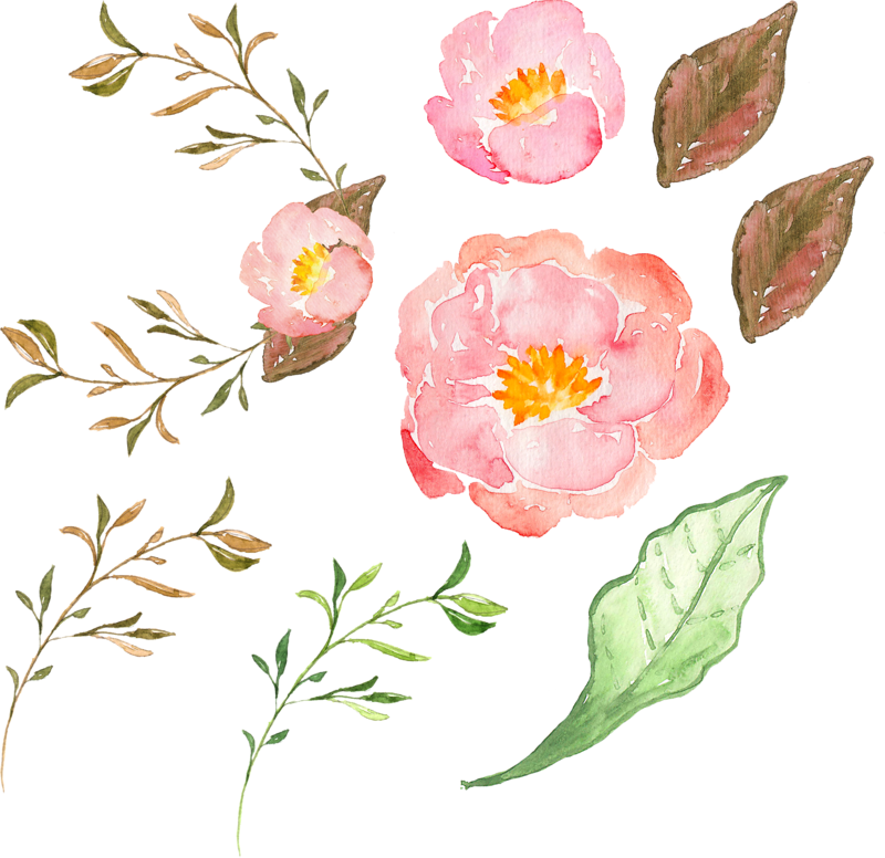 Flowers Pink Flower Transprent Png Free (800x776), Png Download