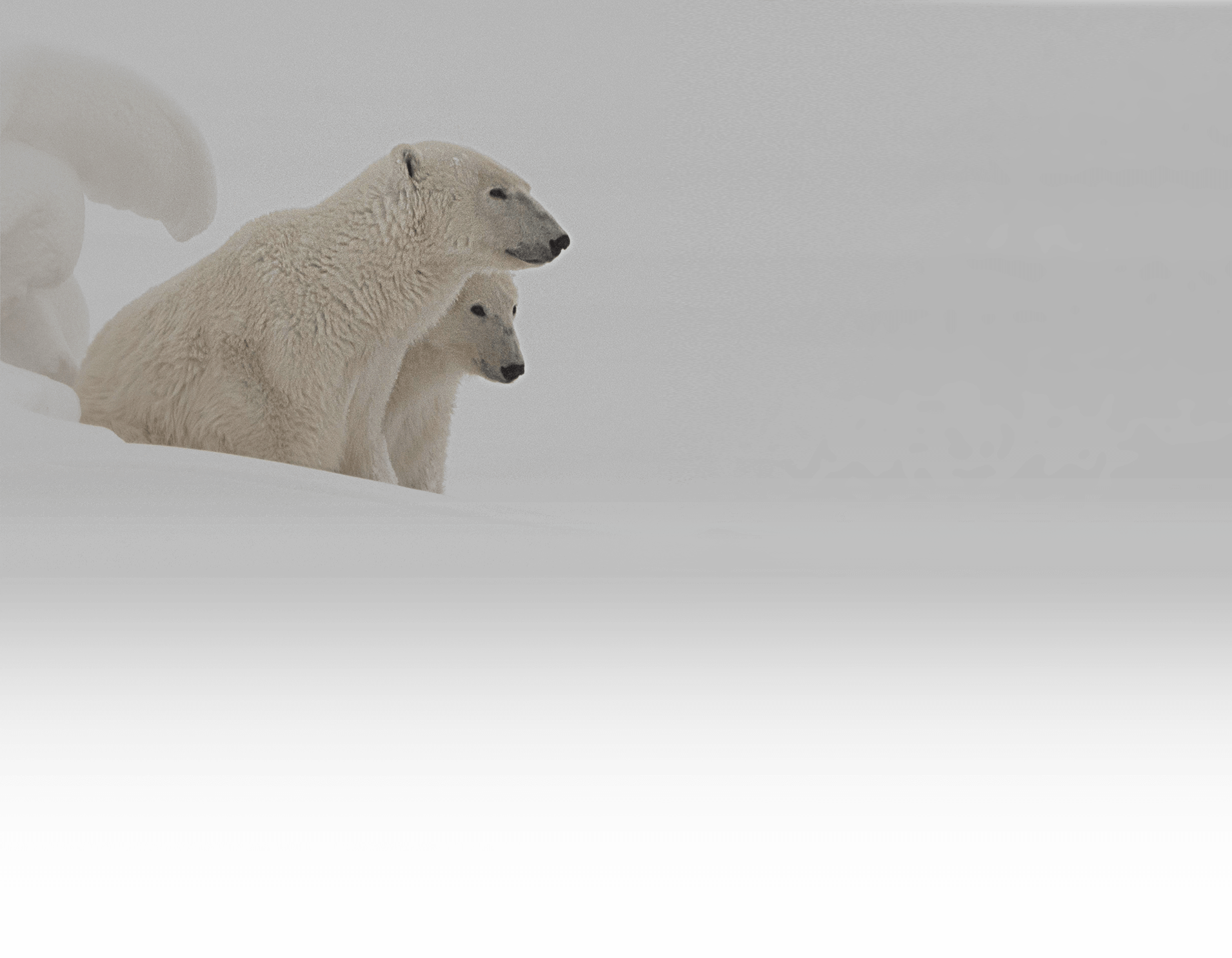 Array (1910x1486), Png Download