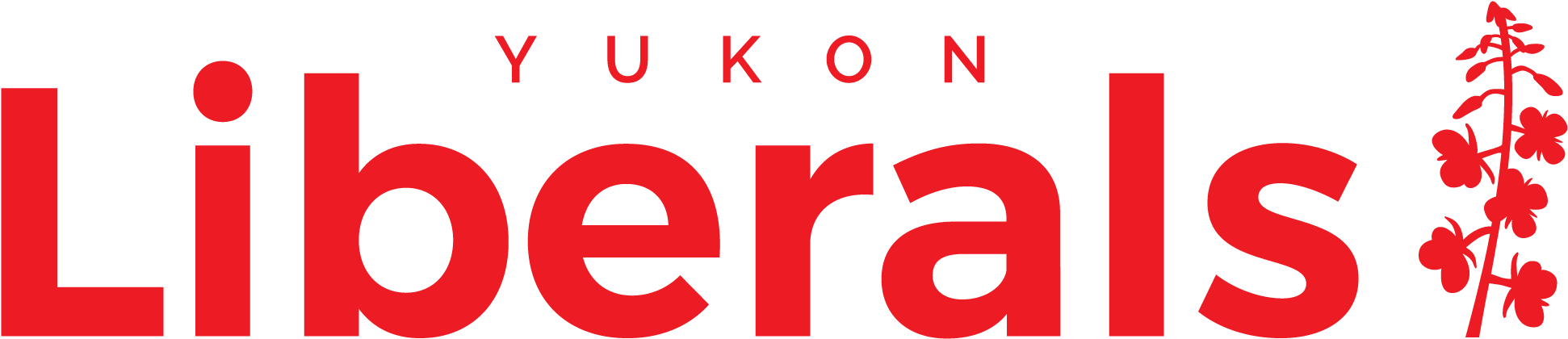 Ylp Logo Rgb (2562x1100), Png Download