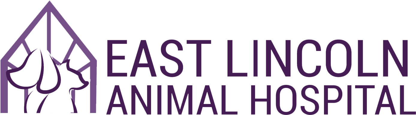 East Lincoln Animal Hospital (1440x441), Png Download