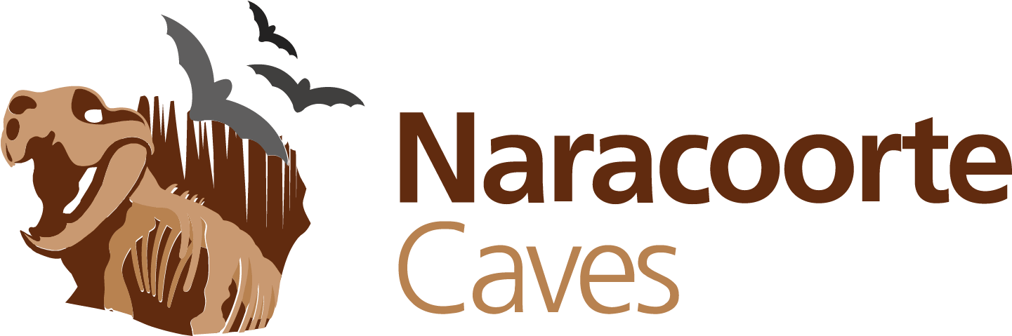 Cave Png (1600x840), Png Download