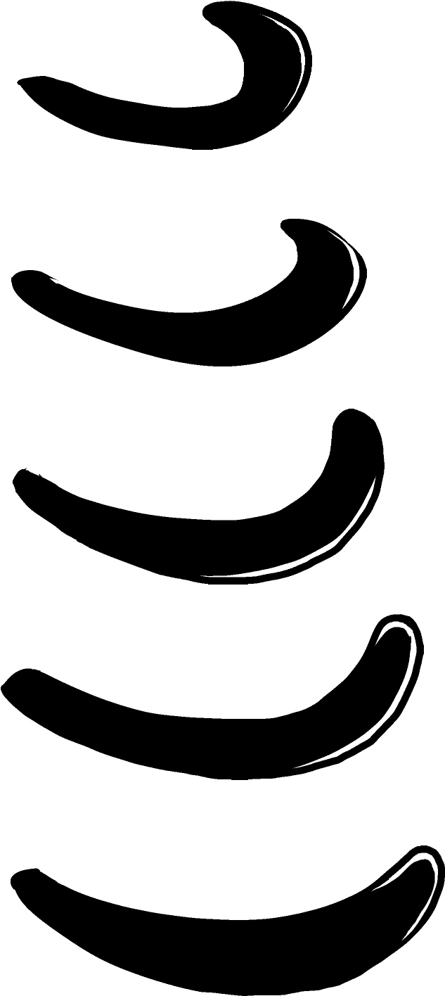 Tails.png (642x1425), Png Download