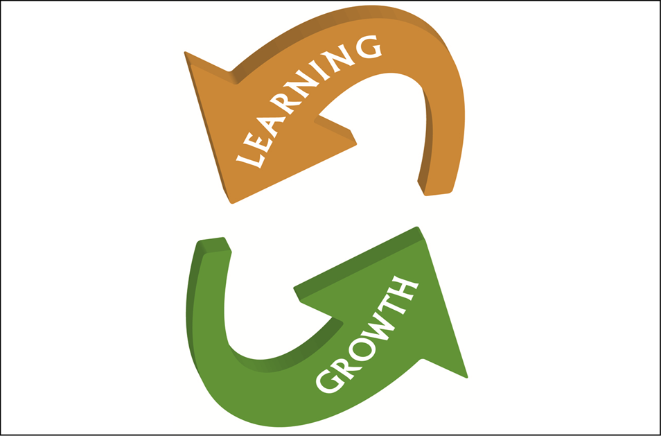 Learning And Growth As A Career Protection And Employee - Graphic Design (954x629), Png Download