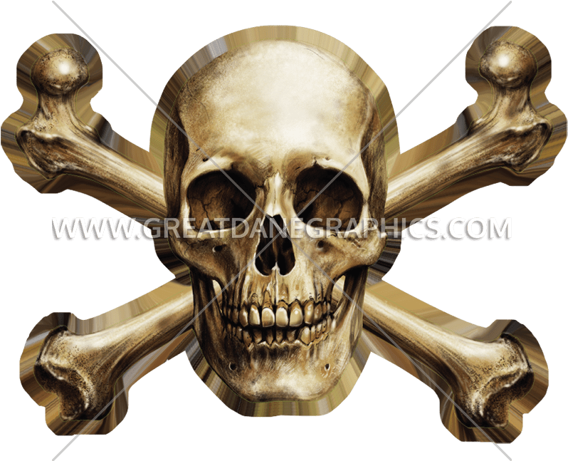 Blue Flame And Crossbones License Plate (825x646), Png Download