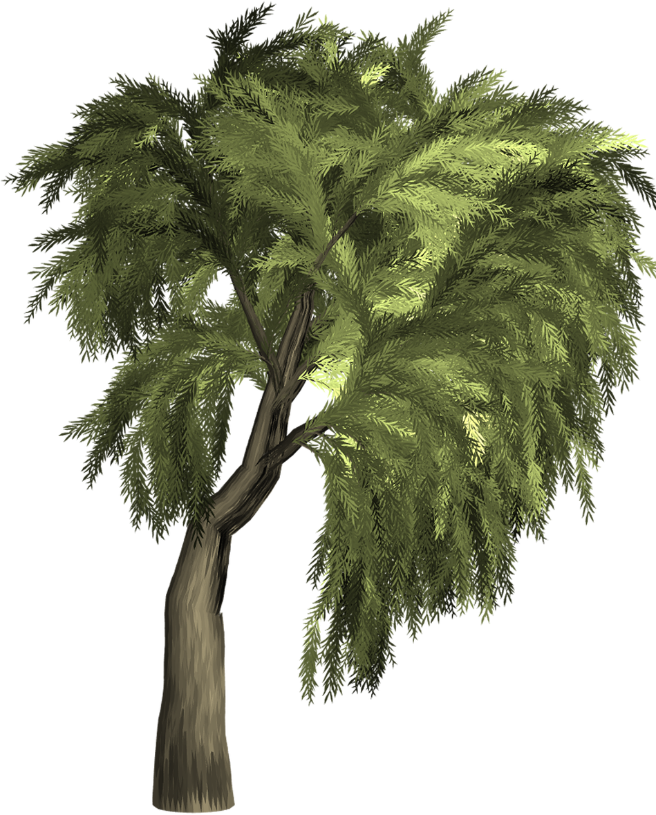 Arvore Png Fundo Transparente (948x1280), Png Download