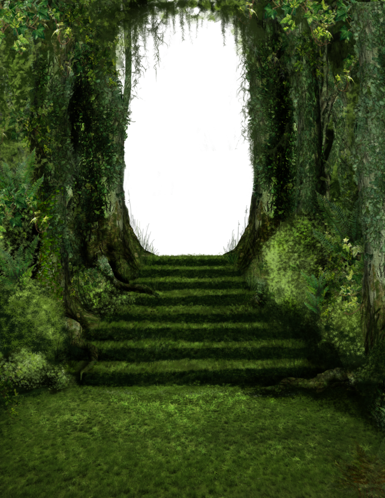 Banner Download Steps By Tigers Stock On Deviantart - Deviantart Stock Png (786x1017), Png Download