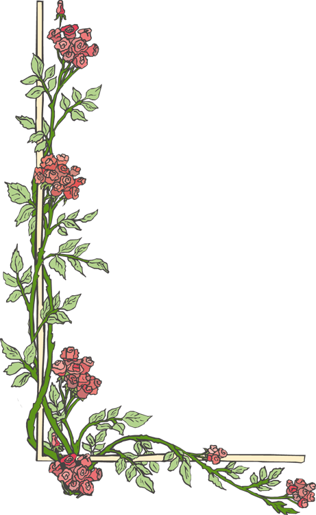 Wedding Page Borders - Border Page Hd Png (461x750), Png Download