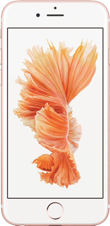 Iphone 6s 32gb Rose Gold (750x750), Png Download