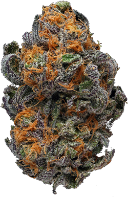 Edibles Online, Weed Strains, Weed Pictures, Buy Cannabis - Blue Dream Png (527x684), Png Download