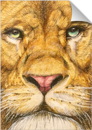 The Regal Lion Roar Of Freedom - Lion (674x516), Png Download