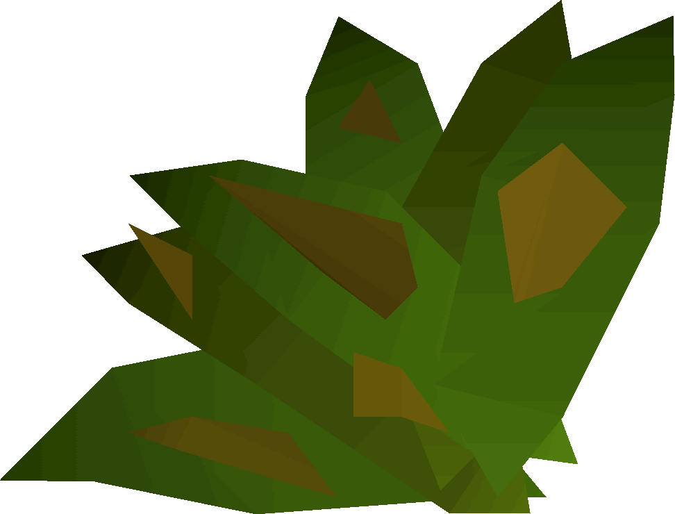 Grimy Ranarr Weed Detail - Herb Osrs (972x740), Png Download