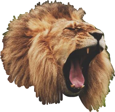 Masai Lion (377x370), Png Download