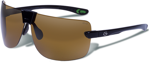 dale earnhardt gargoyle sunglasses