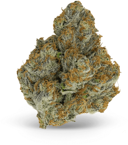 San Diego Cannabis Nug - Hemp (600x600), Png Download