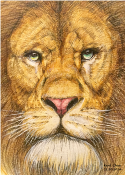 The Regal Lion Roar Of Freedom - Lion (674x518), Png Download
