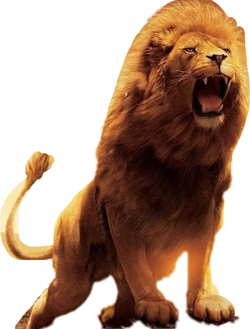 Report Abuse - Hd Wallpapers 480 854 (496x653), Png Download