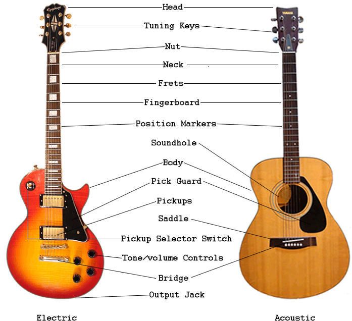 An Overview Of Guitar Parts Electric Acoustic Guitar - Guitar Anatomy (700x650), Png Download