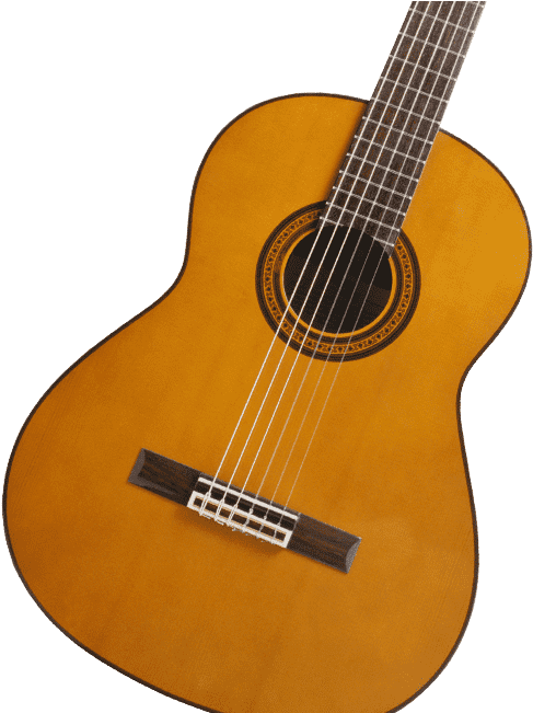 First Guitar - Alfred Music Publishing G Brasil Acústico (550x650), Png Download