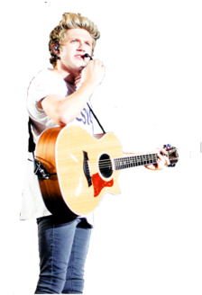Png, One Direction, And 1d Image - Acoustic Guitar (500x332), Png Download