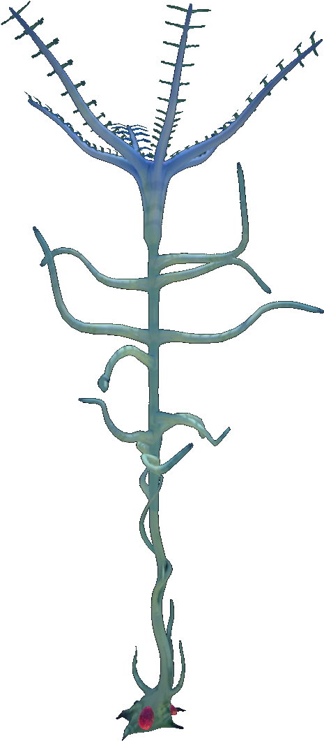 Blood Kelp Flora (1080x1080), Png Download