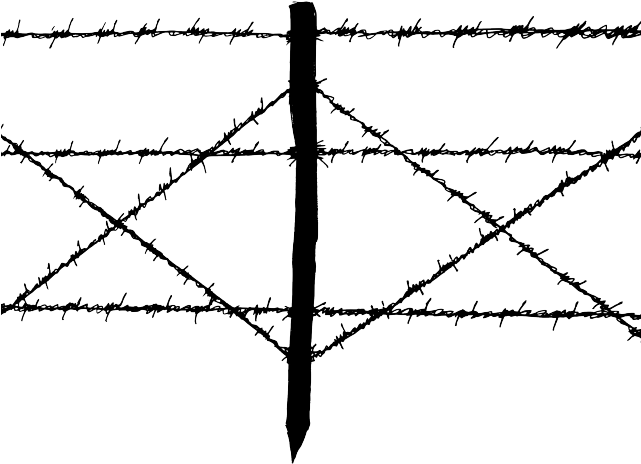 Barbwire Png Transparent Images - Transparent Png Barbed Wire (640x480), Png Download