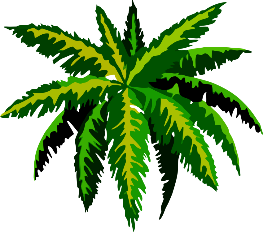 Clipart Black And White Stock Rainforest Plants Leaf - Clip Art Jungle Plants Png (849x750), Png Download