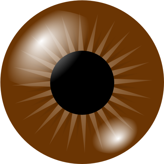 Brown Eye Clipart (600x546), Png Download