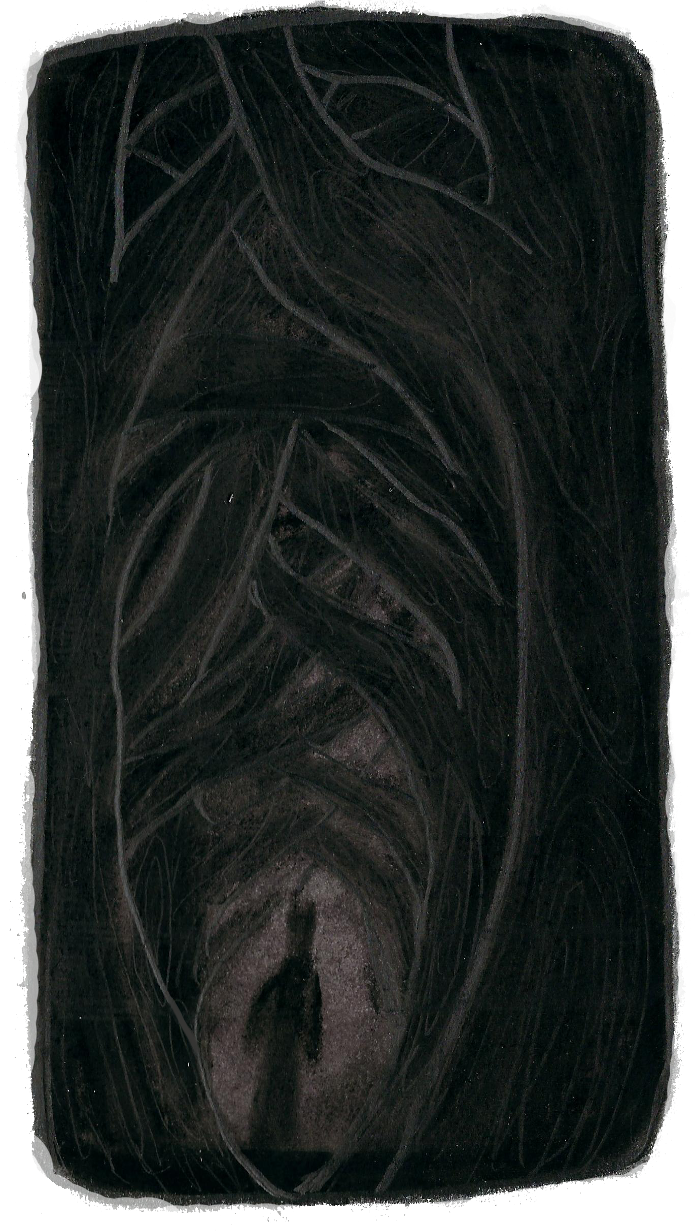 Stallion (1487x2425), Png Download