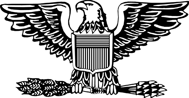 Download Colonel Insignia - Air Force Colonel Insignia - HD Transparent ...