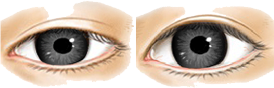 Real Eye Png Clipart - Real Eye Png (544x251), Png Download