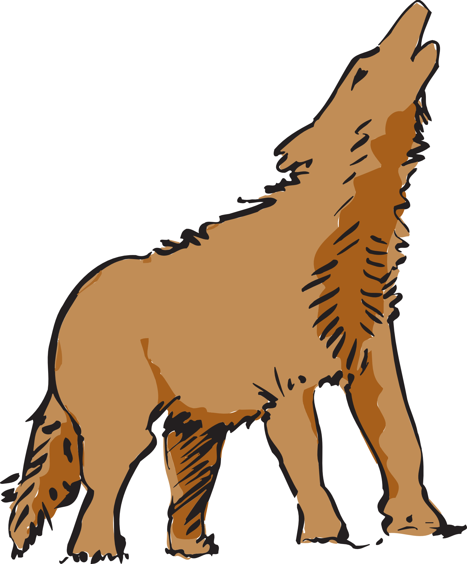 0 Coyote Clip Art Clipart Fans - Wolf Animal Clipart (492x594), Png Download