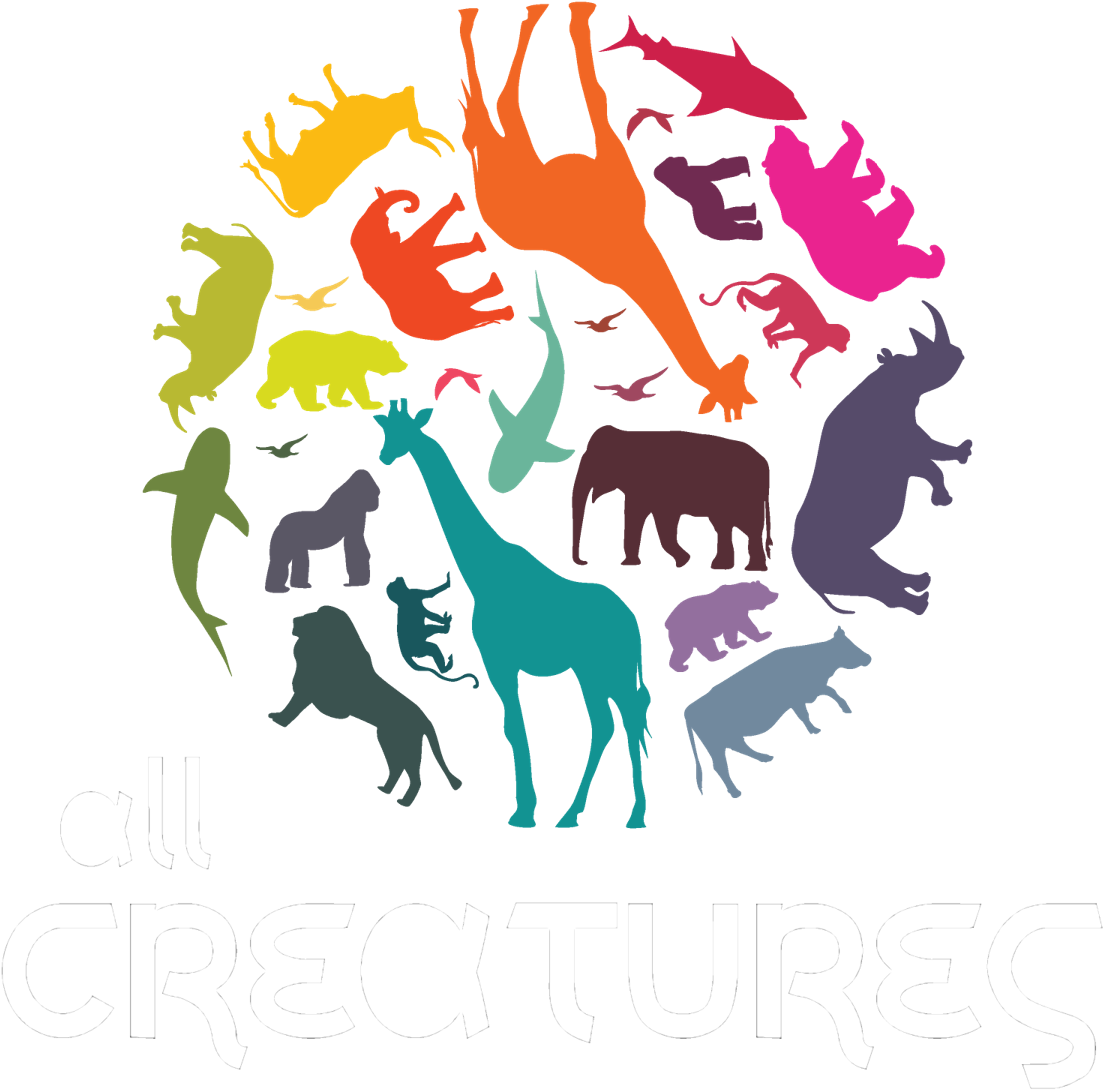 Download Polar Bear Clipart Hq Png Image (1125x1125), Png Download