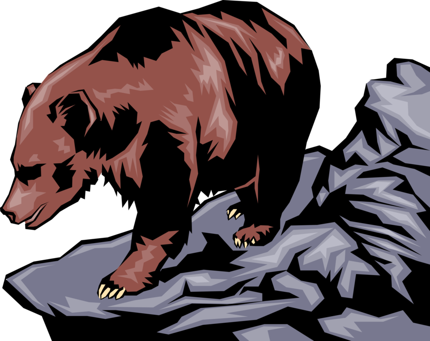 Grizzly Bear Hunts From Shoreline - Brown Bear (883x700), Png Download