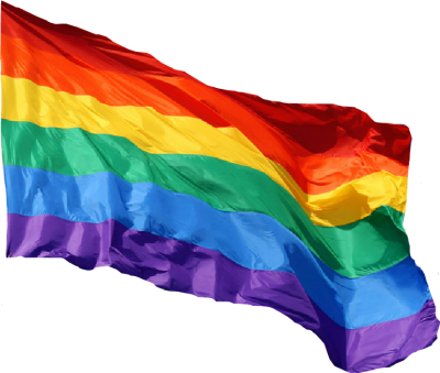 Rainbow Flag Png Pictures Png Images - Rainbow Flag Transparent Background (400x339), Png Download