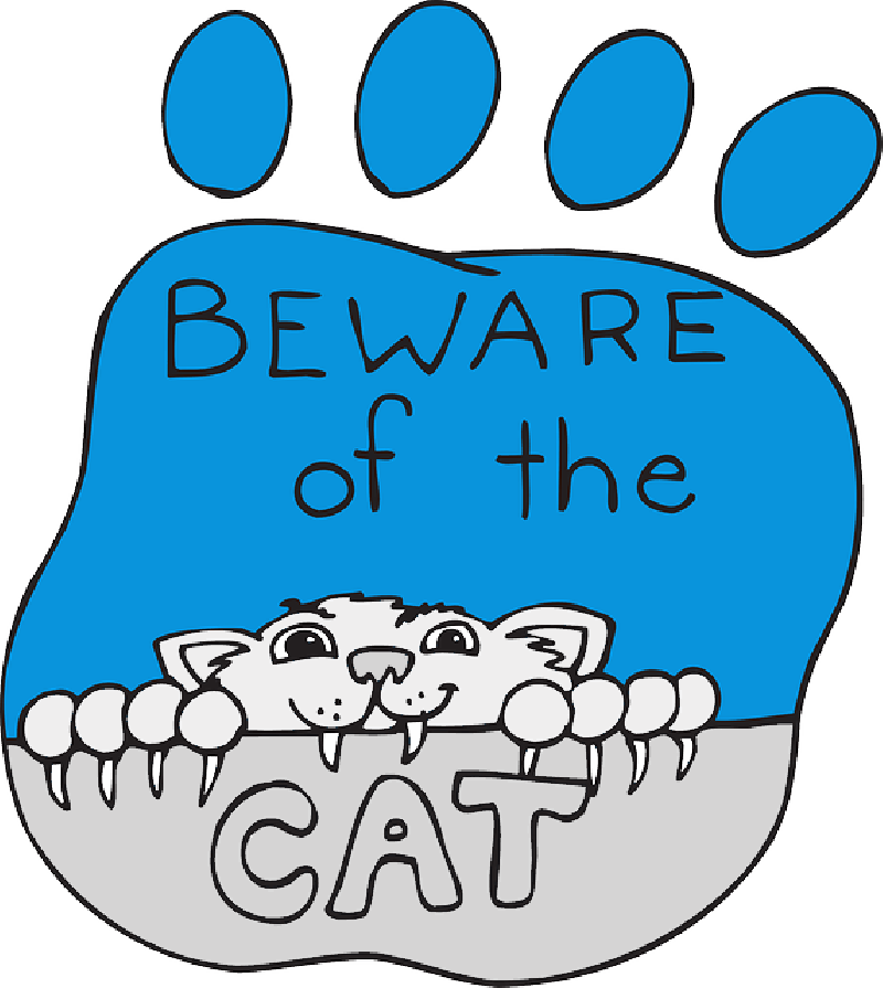 Print, Cartoon, Paw, Pet, Animal, Claws, - Cartoon Cat Clawing (800x895), Png Download