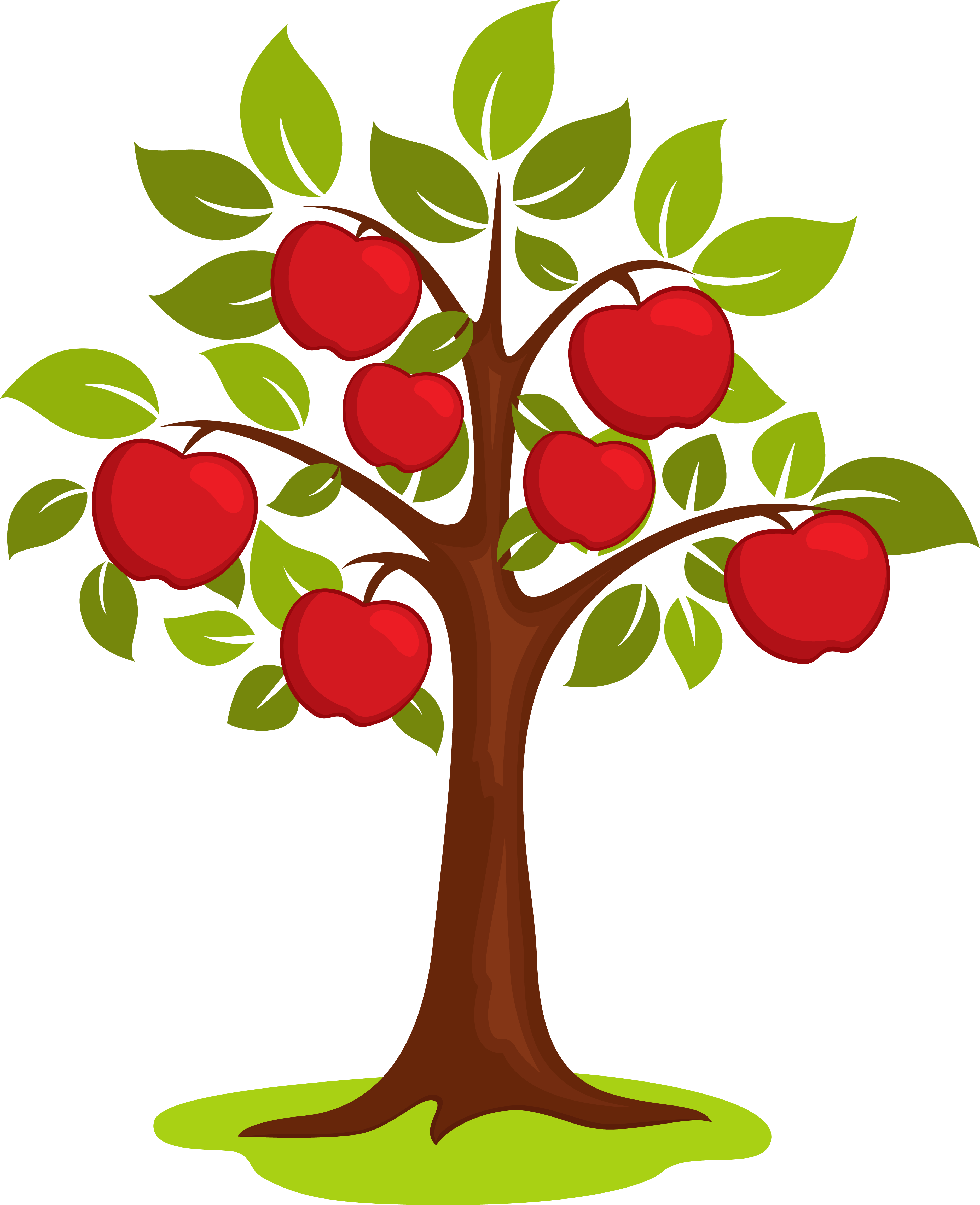 Cartoon Clip Art - Apple Tree Clipart (3751x4614), Png Download