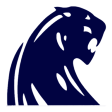 Dewitt Panthers - Dewitt High School Panthers (385x386), Png Download
