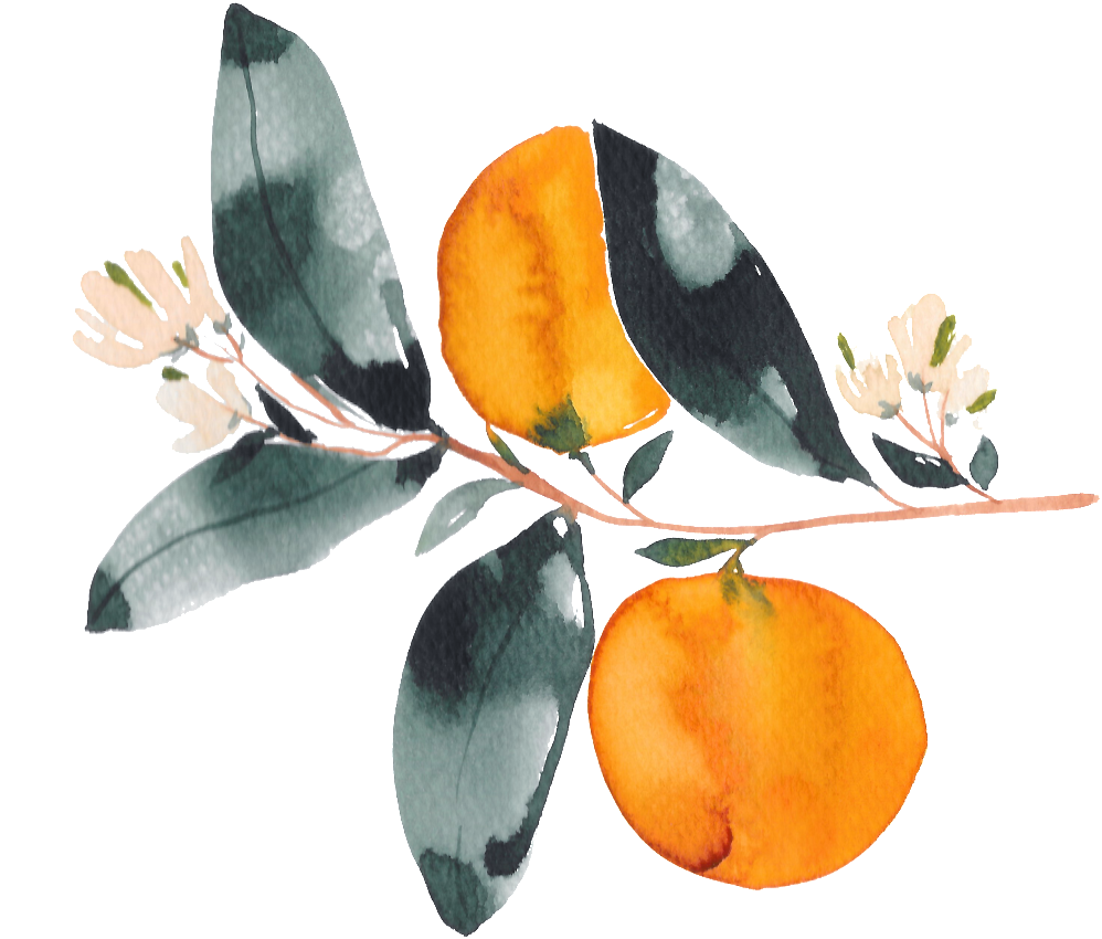 Hand Drawn Orange Watercolor Transparent With Flowers - Watercolor Painting (1024x867), Png Download