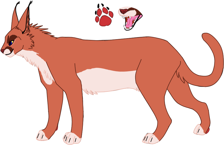 Njeri (920x577), Png Download