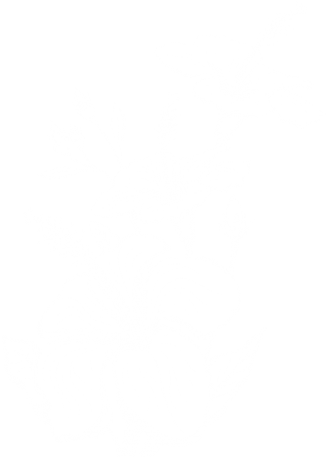 Download Floral Decoration Transparent Clipart Png (480x648), Png Download