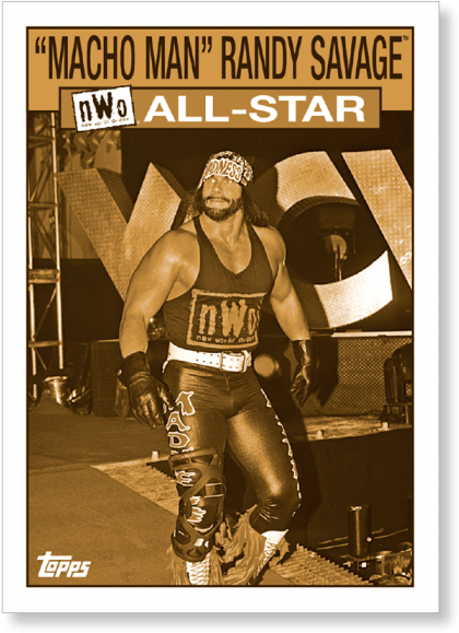 "macho Man" Randy Savage 2016 Wwe Heritage Wcw Nwo (700x700), Png Download