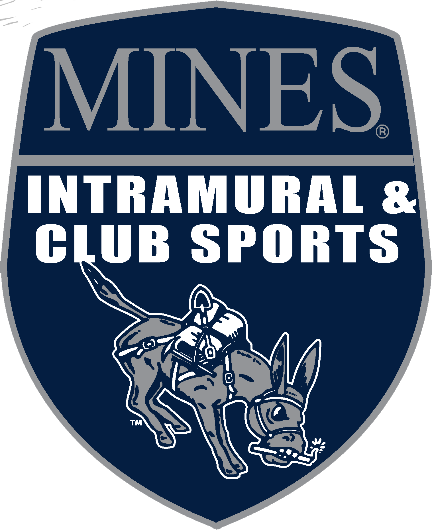 Blue Shield Png (1516x1860), Png Download