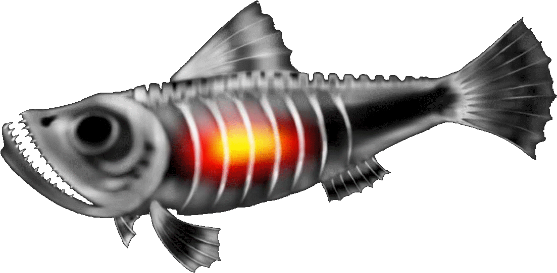 Logo (1200x550), Png Download