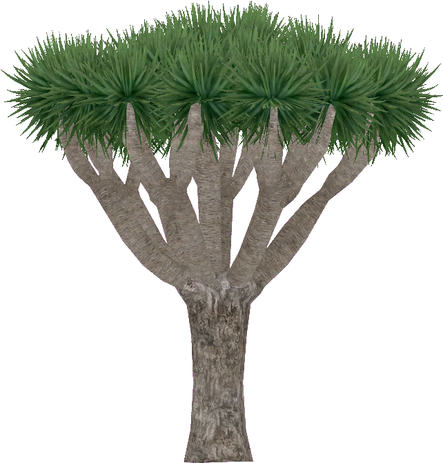 Draco Png (700x706), Png Download