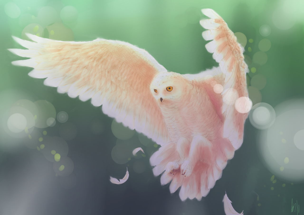 My Art Hedgesketch Doodles And Hedgehogs Owls Small (1280x905), Png Download